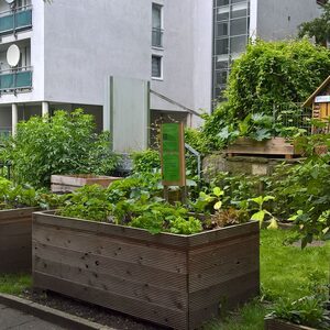 Urban Gardening am Engelnberg