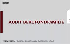 audit beruf und familie