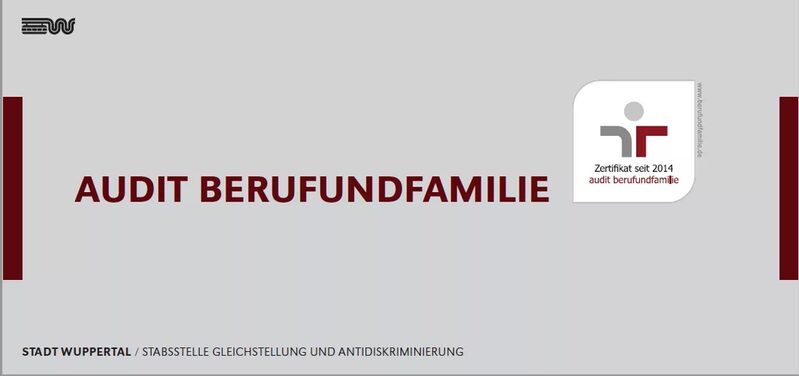 Das audit berufundfamilie