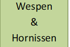 Wespen