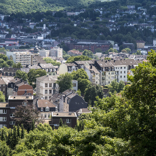 Stadt Grün - Fotoware