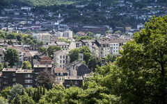 Stadt Grün - Fotoware