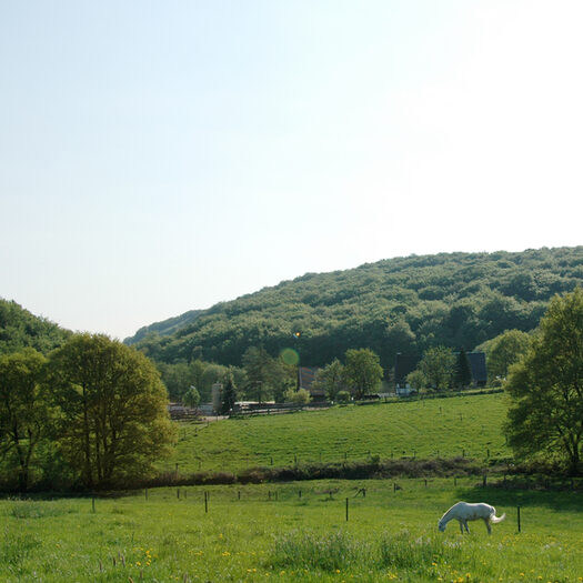 Landschaft Winterbergerweg