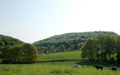 Landschaft Winterbergerweg