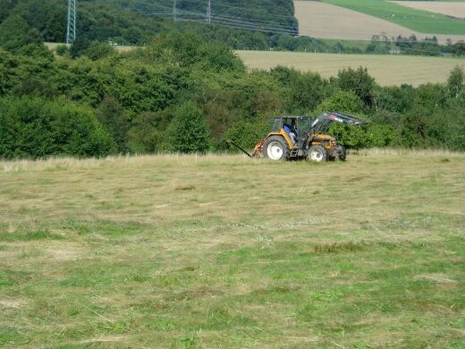 Traktor beim Mähen einer Wiese