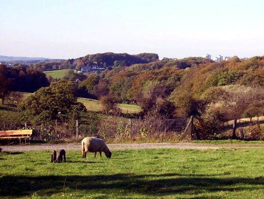 Landschaft im Wuppertaler Norden