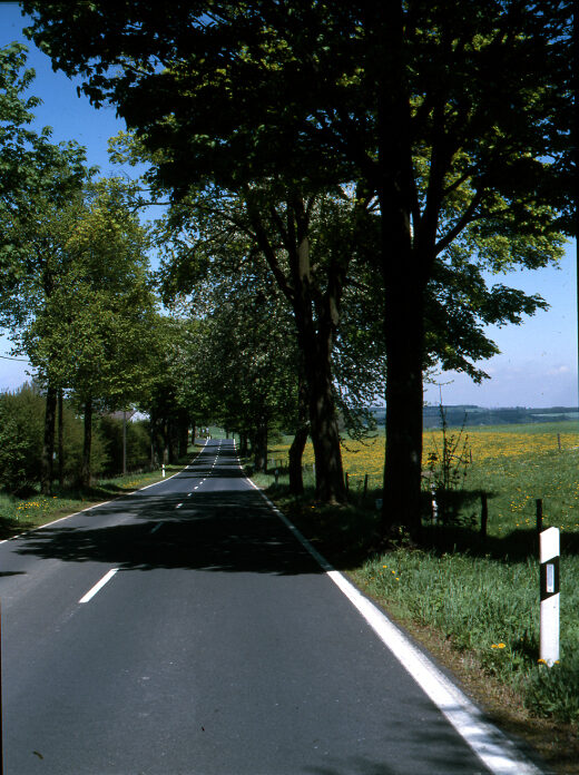 Windfoche in Beyenburg