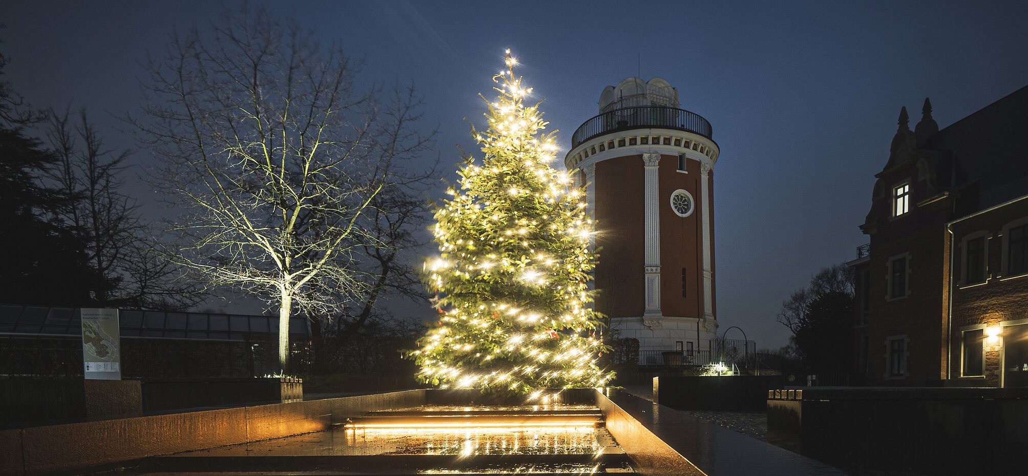 Elisenturm auf der Hard mit Weihnachtsbaum_Foto Simon Wierzba