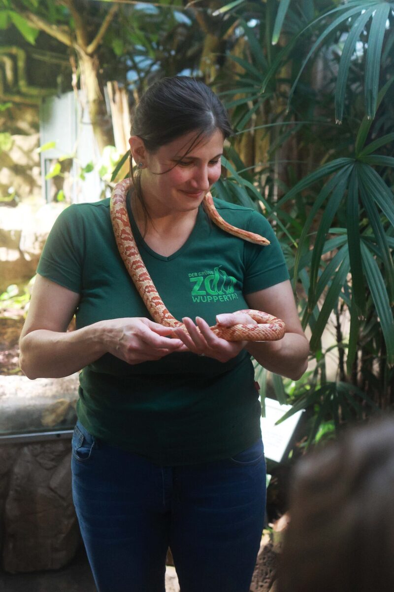 Dreamnight im Grünen Zoo Wuppertal