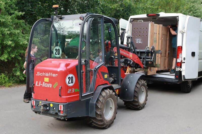 Radlader hebt Transportkiste aus Transporter