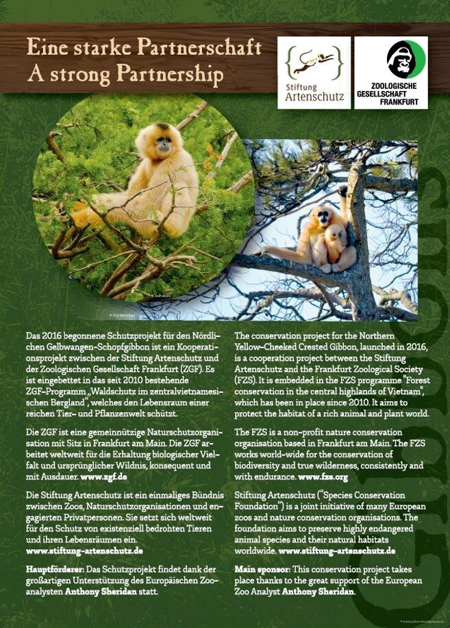 Gibbon Plakat 6