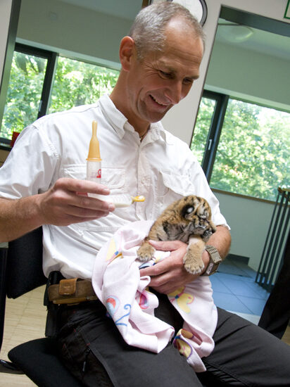 Dr. Arne Lawrenz mit einem seiner tierischen Babys, dem Tigerjungen Tschuna.