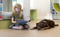 Leseförderung mit Therapiehund Buddie in der Stadtbibliothek.