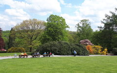 Blick über die Rasenfläche auf Bänke und Bäume des Vorwerk-Parks