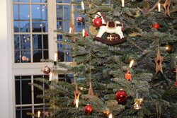 Blick auf den Weihnachtsbaum im Rathaus