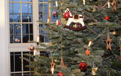 Blick auf den Weihnachtsbaum im Rathaus