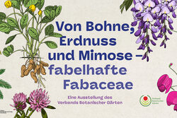 Banner der Ausstellung mit gezeichneten Blüten und dem Ausstellungstitel