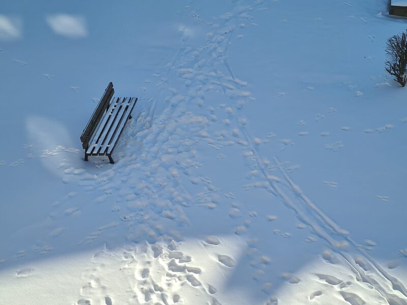 Symbolbild: Eine leere Bank im Schnee