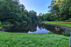 Der Murmelbachteich mit abgesenktem Wasserspiegel umgeben von Grün