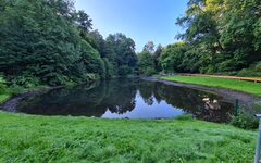 Der Murmelbachteich mit abgesenktem Wasserspiegel umgeben von Grün