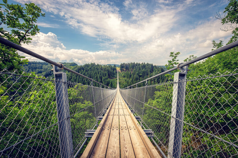 Geierlay Hängebrücke