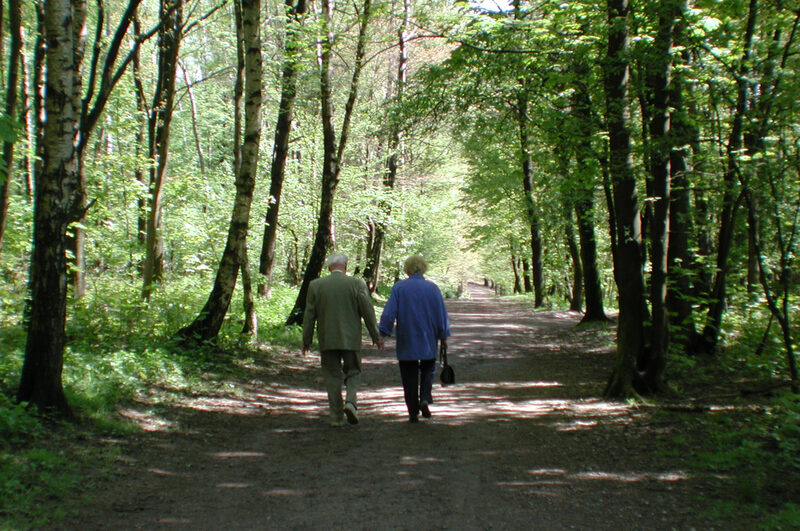 Spaziergänger im Wald