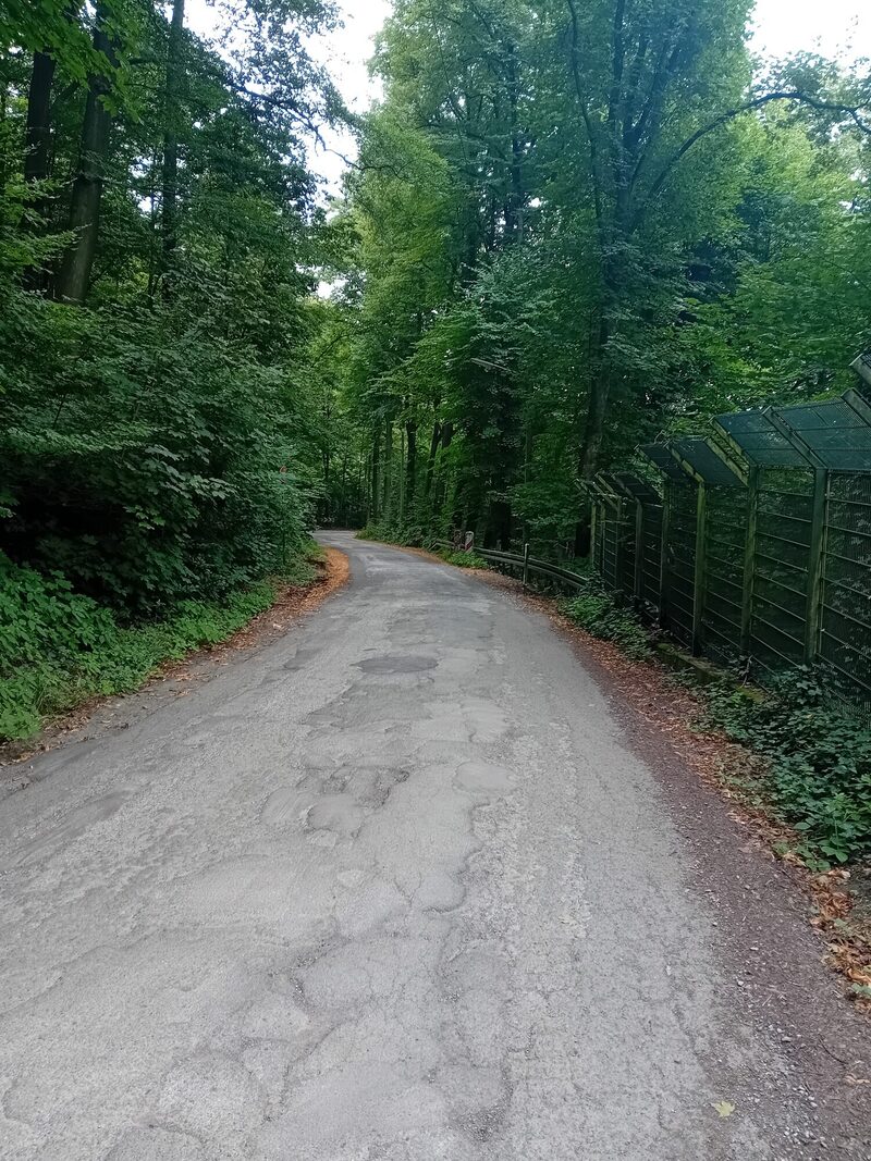 Der Boettingerweg in Wuppertal Elberfels-West.