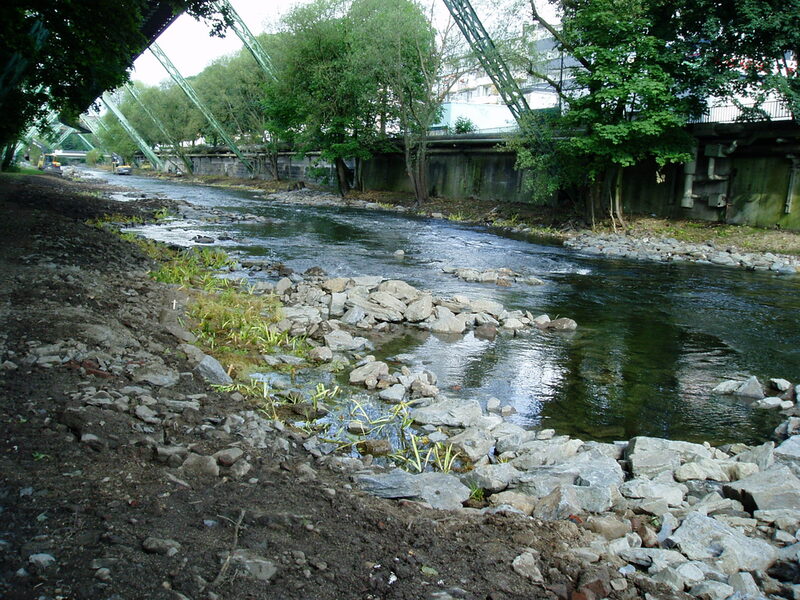 Foto: Beispiel von Geröllwällen, Belebungssteinen und kleinräumigen Flachwasserbereichen im Bereich der bereits durchgeführten Maßnahme Rosenau