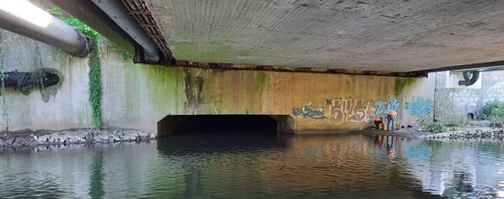 Brücke Waldeckstraße