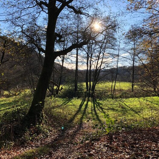 Wandern in und um Wuppertal