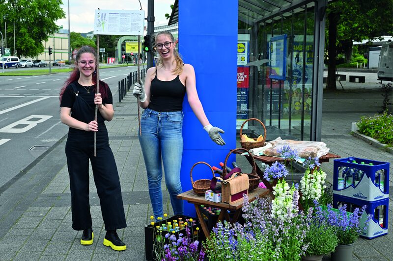 Bumblebees an busstops